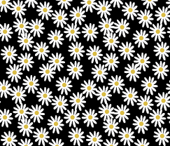Black And White Floral Wallpaper Simple Colorful Fabrics Digitally Printed By Spoonflower Daisy Daisies Flowers Florals Flower Black And White Simple 90s Design In 2020 Daisy Flower Daisy Wallpaper