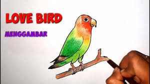 Maybe you would like to learn more about one of these? Download Cara Menggambar Burung Lovebird Mp3 Mp4 3gp Flv Download Lagu Mp3 Gratis