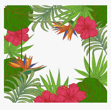 See more ideas about flower frame, leaf border, wallpaper backgrounds. Leaf Arecaceae Tree Wallpaper Palm Leaves Border Borders Leaves Green With Flowers Hd Png Download Kindpng