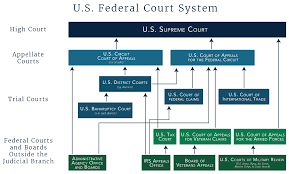 Structure Of The U S Federal Court System Court System Trial Court Court Of Appeals
