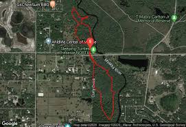 To preserve vegetation and ground cover, please don't gather firewood from the area around your campsite or elsewhere in the park (this is a ticketable offence under the park act). Sleeping Turtles Preserve North Sarasota Florida