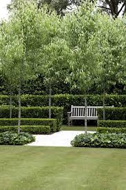 Peter Fudge Garden Planning Modern Garden Landscape Design