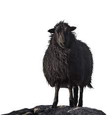 Bartle bogle hegarty is one of the world's most famous creative advertising agencies. Bbh Global