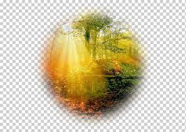 Sounds perfect wahhhh, i don't wanna. Desktop Forest Computer Icons Tree Eren Yeager Forest Computer Wallpaper Grass Sunlight Png Klipartz