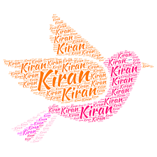 Destudio Kiran Name Sticker Pvc Vinyl 60 Cm X 60 Cm 14401 Name Stickers Names Stickers