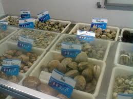 Occitanie Coquillages Crustace Vendres Herault 34