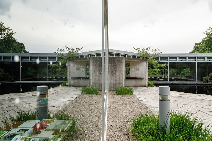 Guelph OAC arboretum, another angle by Vik Pahwa