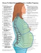 Pregnancy Spine Chart Poster