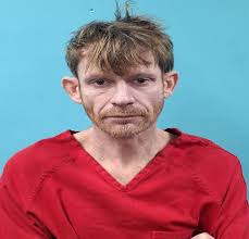 Tonya Lane Davidson Charges: Driving Under The Influence Unlawful  Possession Of Drug Paraphernalia Unlawful Possession Of Drug Paraphernalia  This information and more is available at https://roanesheriff.com