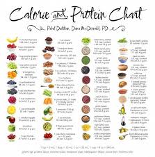 Calorie And Protein Chart 18 X28 45cm 70cm Poster In 2020 Protein Chart High Protein Recipes Nutrition Tips