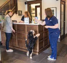 2540 30th ave n, st. Animal Hospital Chicago Veterinarian Veterinary Pet Clinic