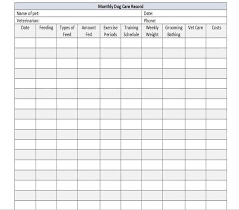 Personal Management Merit Badge Budget Spreadsheet