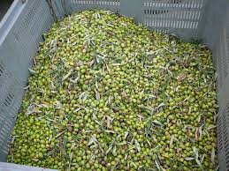 Agriturismo Limoneto Siracusa Sicily Home Facebook