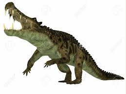 Wikipedia has a more detailed and comprehensive article on kaprosuchus. Kaprosuchus Over White Kaprosuchus Was A Marine Reptile That Lived In Rivers And Swamps Of The Cretaceous Period Stock Photo Picture And Royalty Free Image Image 40606985