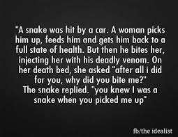 you knew i was a snake getting him back open word wonderful words
