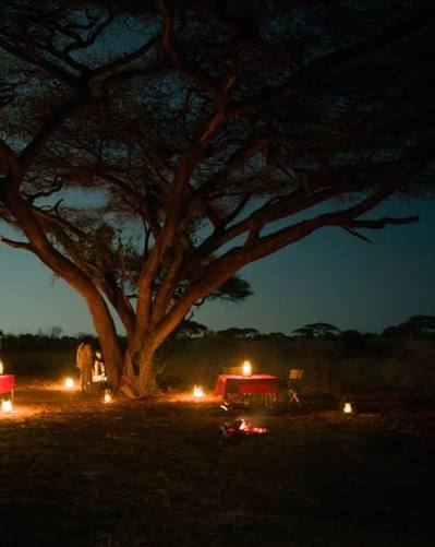 A bush dinner under the stars in the heart of the Tawi Conservancy - evenings don't get much better than this. . . . . . 📸 @dgphoto11 #tawi #tawiconservancy #conservancy #stars #milkyway #safari #