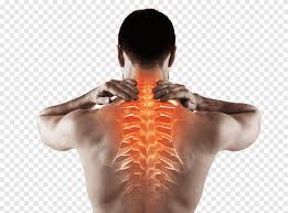 It has been there for a number of years it has started to force my the human body never ceases to amaze me. Neck Pain Pain In Spine Cervical Vertebrae Chiropractic Back Pain Human Arm Png Pngegg