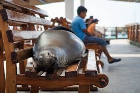 But with so much to. Die Galapagos Inseln Wir Sind Dann Mal Weg