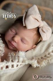 Teddy *Set inkl. Körper