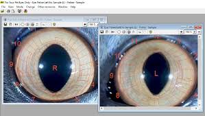 Fypeo Canine And Feline Iridology Analysis Scanning And Reporting Software Program