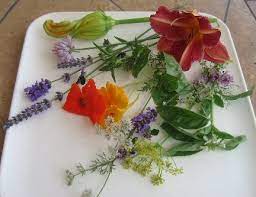 Before eating , remove the centre stamen and any green bits. Edible Flowers Chart Whats Cooking America Edible Flowers List