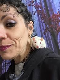 Free pet rats for adoption