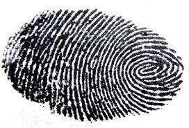In this experiment, you match the prints collected from the scene with the fingerprints of the culprits. Lesson Caught Red Handed Fingerprint Analysis Betterlesson