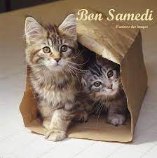 </div></body></html>