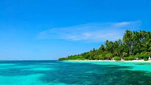 Relaxing Pan Flute Music Calming Sea Youtube Pan Flute Flute Music Relaxing Music
