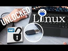 Insert the bootable drive into the dell laptop which password you want to reset and change the boot option from hard drive to usb or cd/dvd. Unlock Wd Password Protected Hdd In Linux How To Unlock Western Digital Drive On Linux Mount Wd
