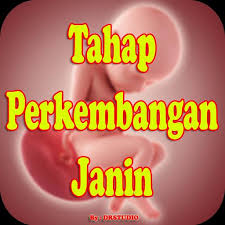 Setiap bulan batu dalam kandungan akan bertambah ±2 inci. Perkembangan Janin Bayi Dalam Kandungan Fur Android Apk Herunterladen