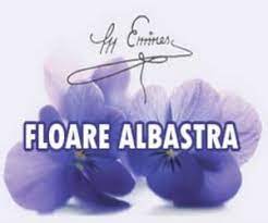 13 ianuarie 2015 de florina dinu. Mihai Eminescu Floare AlbastrÄƒ Comentariu Eseu AnalizÄƒ