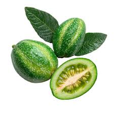 Image result for Coccinia