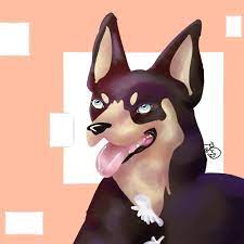 White undermount kitchen sink australian kelpie adopt me images. Australian Kelpie Roblox Adopt Me Amino