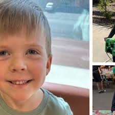 Fundraiser by Tishana Brown : Help Us Support Brave William