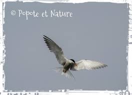 Popote Et Nature Escale Gourmande A Plouhinec Dans Le Morbihan