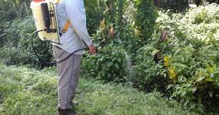 Salah satu kampung pedalaman yang terdapat di sikuati, kudat. Wajib Tahu Racun Rumpai Yang Mana Sesuai Sebelum Tersalah Beli Vol 1 Impiana