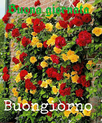 Buongiorno Da Mandare Agli Amici Piu Cari Buongiorno Immagini It Buongiorno Buongiorno Immagini Immagini Di Amicizia