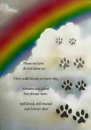 While that hole can never be filled with anything, these inspirational quotes about losing a dog will provide you with support and a little comfort maybe to stay strong during these dark. Pin By Donny Waarts On Loved Lost Pet Loss Poem Pet Loss Quotes Dog Poems