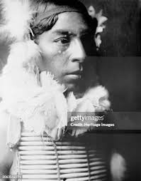 767 Crow Indian Stock Photos, High-Res Pictures, and Images