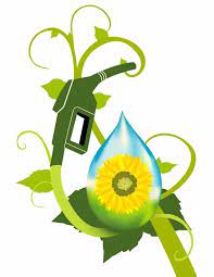 Renewable Fuel Standard Rfs2 Basics For Biodiesel Extension Biodiesel Biofuel Plant Illustration