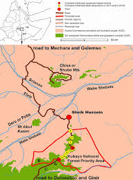 Image result for Crotalaria prittwitzii