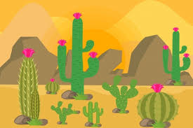 This is an archival print of my how to draw a saguaro cactus step by step. Desert Landscape Drawing Cactus Rock Icons Colored Cartoon Free Vector In Adobe Illustrator Ai Ai Format Encapsulated Postscript Eps Eps Format Format For Free Download 2 39mb