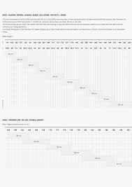 65 explanatory trek domane size chart