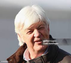 28 Bowring Park Stock Photos, High-Res Pictures, and Images