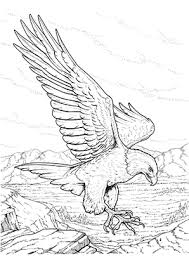 Free animal eagle coloring pages for toddler. Ausmalbild Adler In Der Natur Zum Ausdrucken