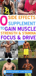 Fitndfit Com Nbspthis Website Is For Sale Nbspfitndfit Resources And Information Bodybuilding Workout Plan Bodybuilding Workouts Bodybuilding