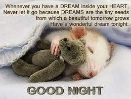 75 Hilarious Good Night Memes Images Pics Cute Good Night Quotes Good Night Meme Good Night Image