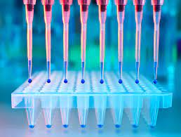 The distribution of dna materials from the naro dna bank was terminated as of 31 march 2021. Russia To Create Noah S Ark With The Dna Of Every Animal On The Planet