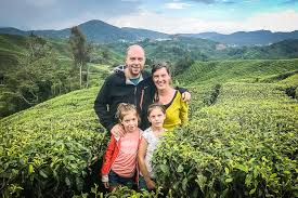 The largest tea plantation in southeast asia supplies gorgeous vistas alongside tea for the surrounding countries. Travel Diary 4 Drinking Tea In The Cameron Highlands The Global Wizards Family Travel Blog